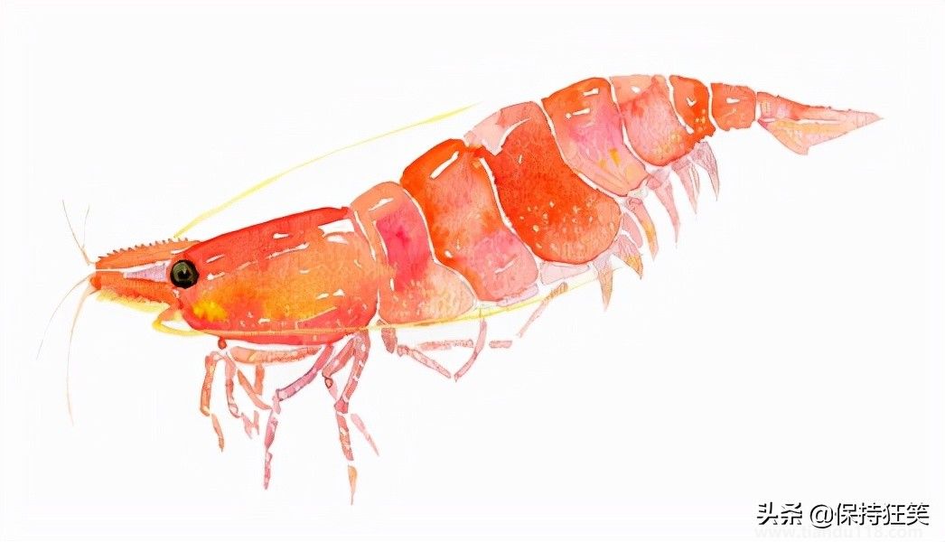 臺灣十大特產排行榜 臺灣特產什么最出名 來臺旅游值得帶的伴手禮