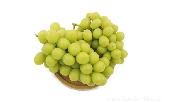 陽光玫瑰葡萄怎么辨別真假2