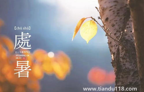 2022處暑之后天氣會涼快一些嗎(處暑吃什么食物養(yǎng)生)(圖1) 2022處暑之后天氣會涼快一些嗎1