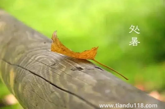 2022處暑之后天氣會涼快一些嗎(處暑吃什么食物養(yǎng)生)(圖3) 2022處暑之后天氣會涼快一些嗎3