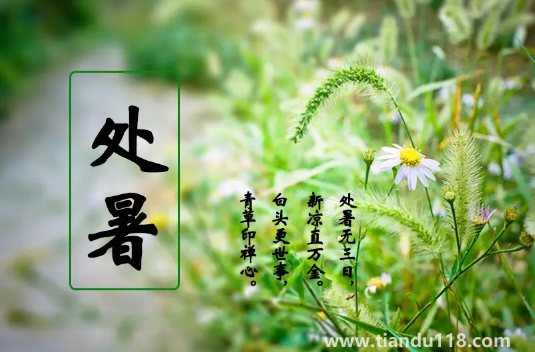 2022年處暑是幾月幾號幾點幾分幾秒鐘3