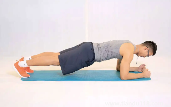 平板支撐一次多長時間有效果(平板支撐是練什么部位)(圖3) 平板支撐一次多長時間有效果3