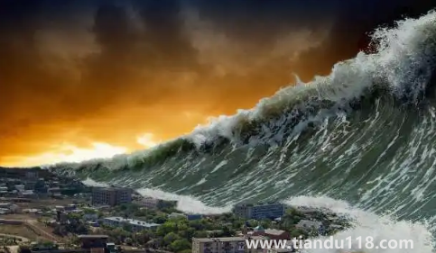 2035年到底是什么災(zāi)難發(fā)生(2035喪尸病毒會(huì)來(lái)到中國(guó)嗎)(圖3) 2035年到底是什么災(zāi)難發(fā)生3