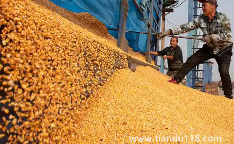 預言饑荒馬上要來了真的假的(中國是哪年鬧的饑荒)(圖3) 預言饑荒馬上要來了真的假的3