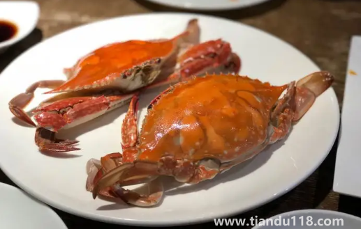 當天死掉的梭子蟹能吃嗎3