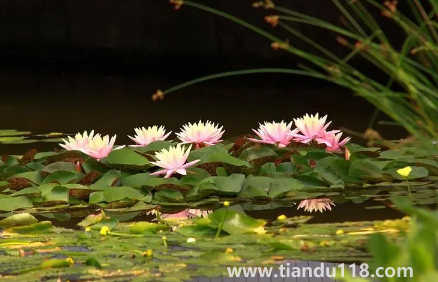 以后夏天會一年熱過一年嗎1