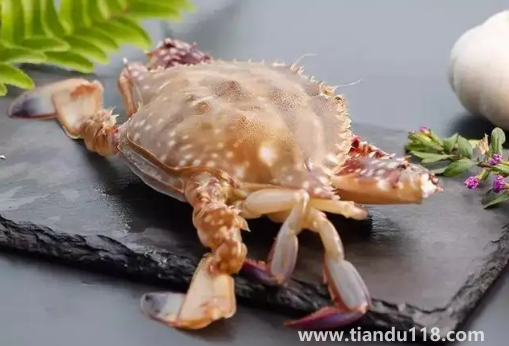 梭子蟹買回來沒多久就死了可以吃嗎2