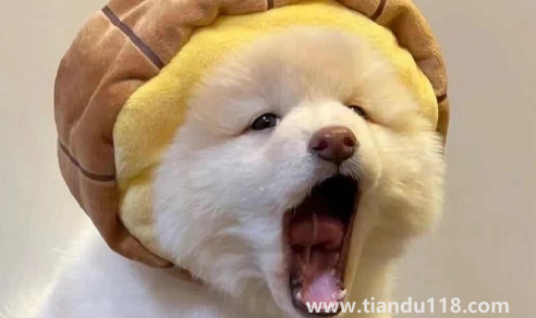 男人真正放棄你會更換頭像嗎3