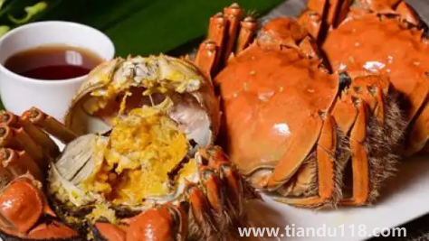 2022陽澄湖大閘蟹十月份才上市嗎3