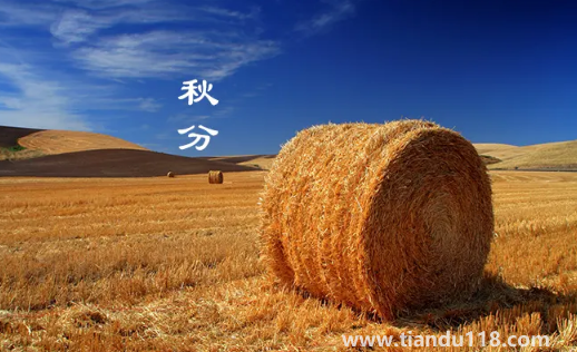 2022年秋分是農(nóng)歷幾月幾號幾點(diǎn)幾分幾秒(秋分怎么養(yǎng)生)(圖1) 2022年秋分是農(nóng)歷幾月幾號幾點(diǎn)幾分幾秒1