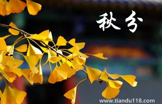 2022年秋分是農(nóng)歷幾月幾號幾點(diǎn)幾分幾秒(秋分怎么養(yǎng)生)(圖2) 2022年秋分是農(nóng)歷幾月幾號幾點(diǎn)幾分幾秒2