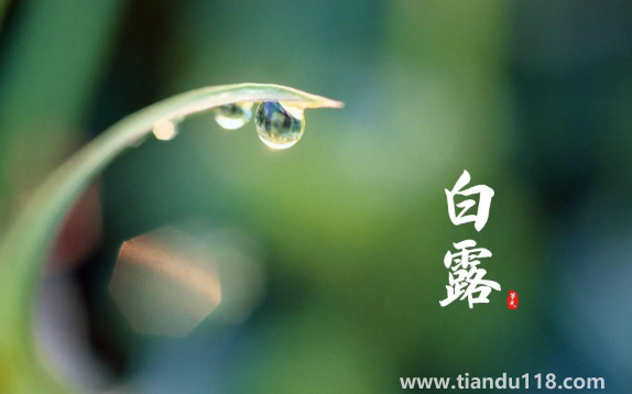 2022年白露在什么時(shí)間幾點(diǎn)幾分幾秒鐘(白露怎么養(yǎng)生)(圖1) 2022年白露在什么時(shí)間幾點(diǎn)幾分幾秒鐘1