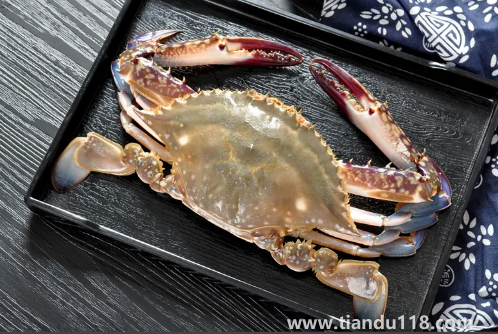 昨天買(mǎi)的梭子蟹今天不動(dòng)了能吃嗎(活的梭子蟹怎么保存)(圖3) 昨天買(mǎi)的梭子蟹今天不動(dòng)了能吃嗎3