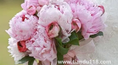 男方娶親當天手捧花必須要準備嗎2