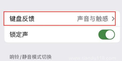 ios16鍵盤震動(dòng)怎么開3
