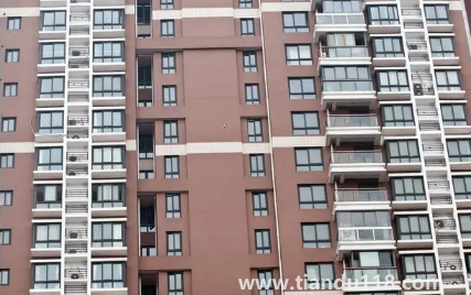 房間里放植物能增強(qiáng)活力陽(yáng)氣嗎（判斷房子的陽(yáng)氣和陰氣有什么方法）