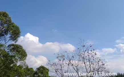 云南11月份溫度一般是多少(十一月份的云南應(yīng)該帶什么衣服)(圖3) 云南11月份溫度一般是多少3