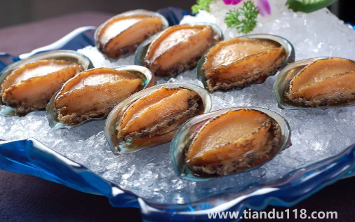 冷凍鮑魚(yú)先解凍還是先煮一下（鮑魚(yú)冷凍可以存放多久）