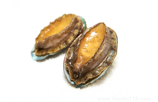 冷凍鮑魚(yú)先解凍還是先煮一下2