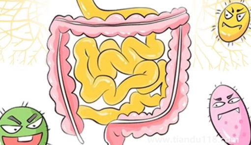 只需一片姜排出4斤宿便真的假的（肚子有宿便自己可以摸出來(lái)嗎）