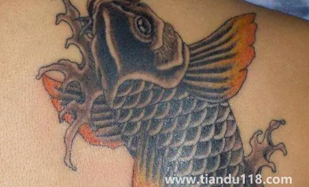 鯉魚可以隨便紋嗎2