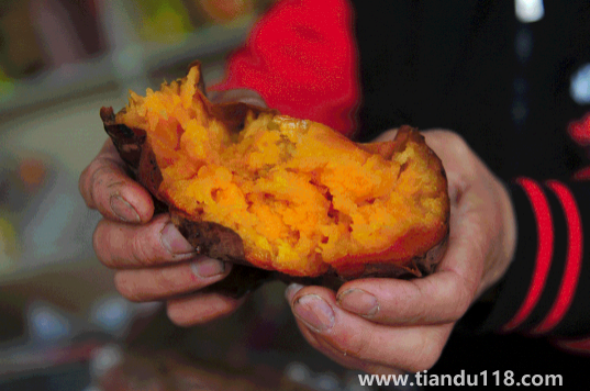 烤紅薯和蒸紅薯的熱量是一樣的嗎2