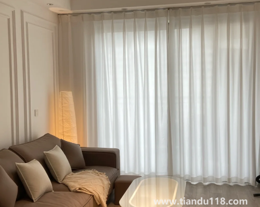 客廳不裝窗簾只裝紗好看嗎2