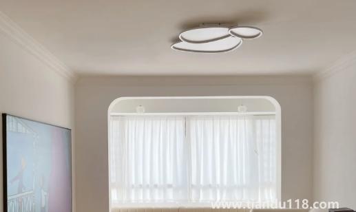 房子吊頂用什么材料好2