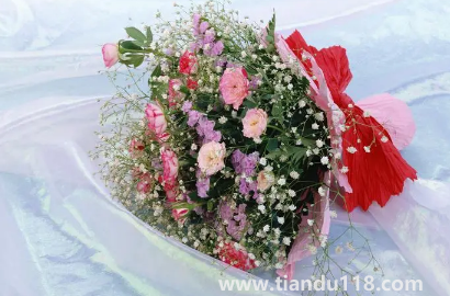 網(wǎng)上買的鮮花回來怎么泡好(網(wǎng)購(gòu)鮮花為什么要醒花)(圖3) 網(wǎng)上買的鮮花回來怎么泡好3