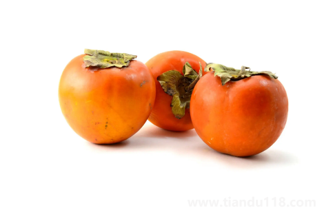 用鹽泡柿子要泡幾天2