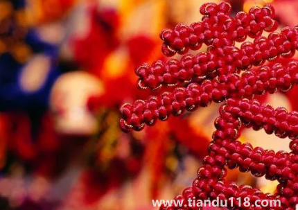 門對門掛中國結(jié)可以掛門上嗎(掛中國結(jié)要注意什么)(圖2) 門對門掛中國結(jié)可以掛門上嗎 2