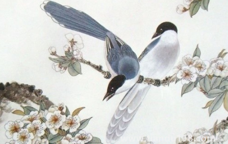 2023年生肖馬運(yùn)勢怎么樣3