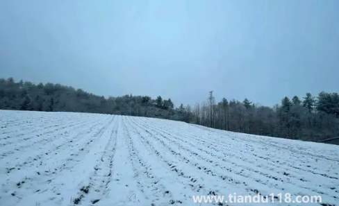 2022小雪過(guò)后就開始數(shù)九了嗎2