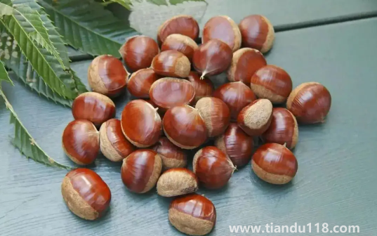 炒熟的板栗怎么保存不會壞還新鮮3