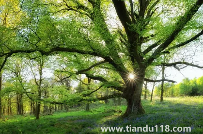 2023年3月份天氣會(huì)不會(huì)冷（2023年3月份天氣怎么樣）