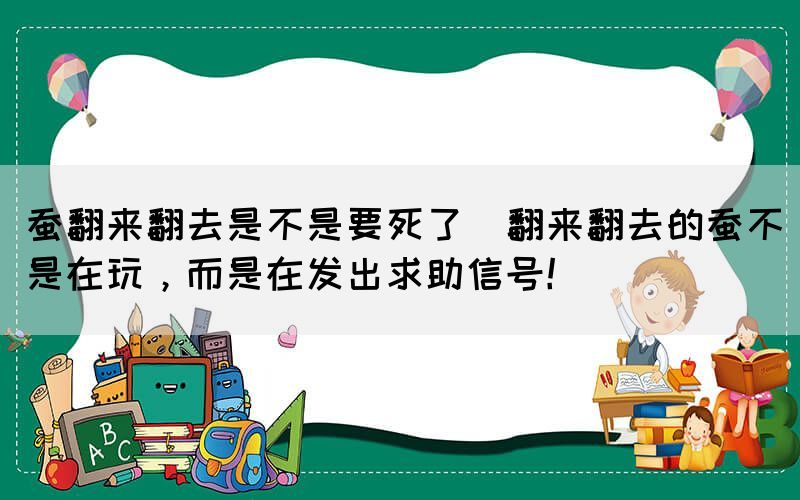 蠶翻來翻去是不是要死了(翻來翻去的蠶不是在玩，而是在發(fā)出求助信號！)